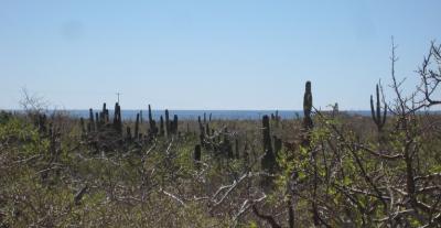 Lots/Land For sale in El Pescadero, Baja California Sur, Mexico - Sin Nombre 1289